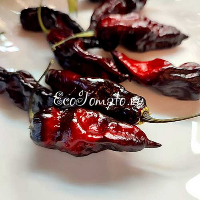 Pimenta Leopard (Пимента Леопард)