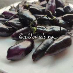 Pimenta de Neyde (Перец Нейде)