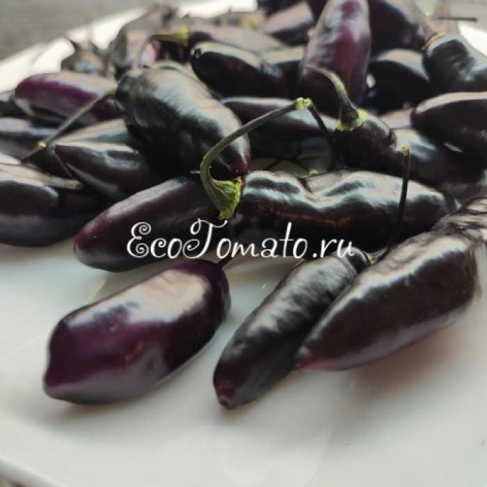 Pimenta de Neyde (Перец Нейде)