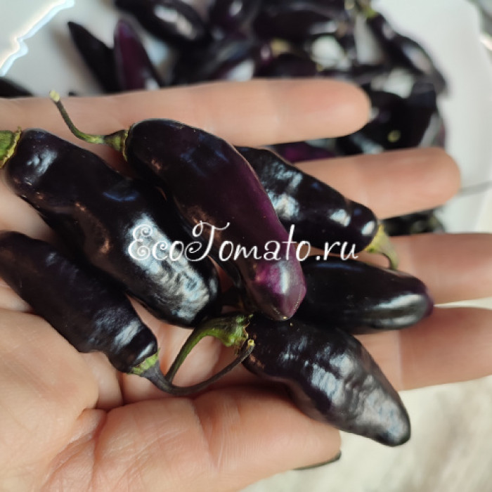 Pimenta de Neyde (Перец Нейде)