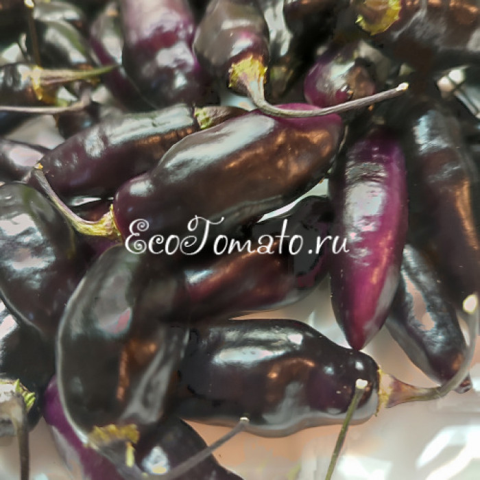 Pimenta de Neyde (Перец Нейде)