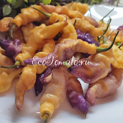 Pink Tiger (Пинк Тайгер, Розовый тигр)