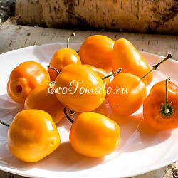 Rocoto Rio Huallaga (Рокото Рио Уаллага), Перу