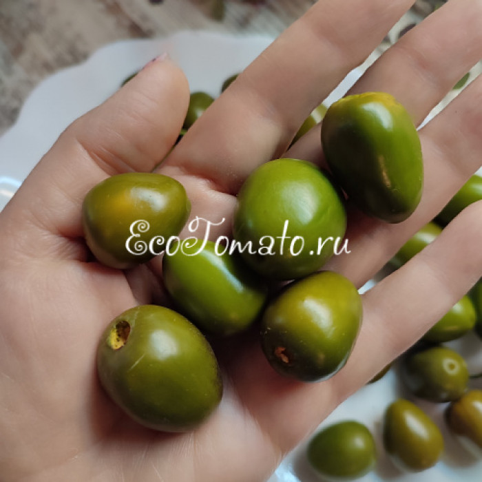 Rokoto Mini Olive (Рокото Мини Оливка)