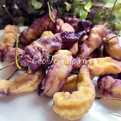 Thunderstorm (Гроза), США