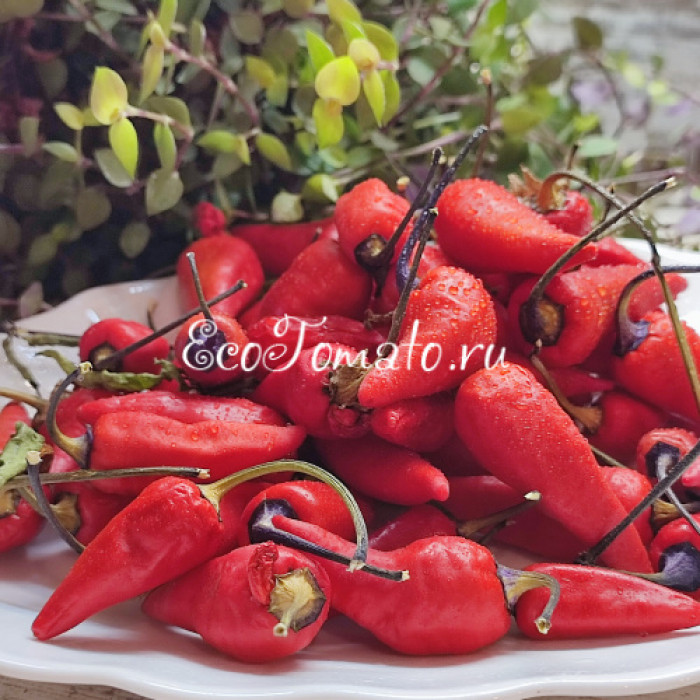 Tiger Jalapeno Dark (Тигр Халапеньо темный)