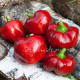 Tomato Pepper (Томато Пеппер)