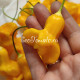 Yellow Bell (Желтый Колокольчик)