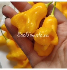 Yellow Bell (Желтый Колокольчик)