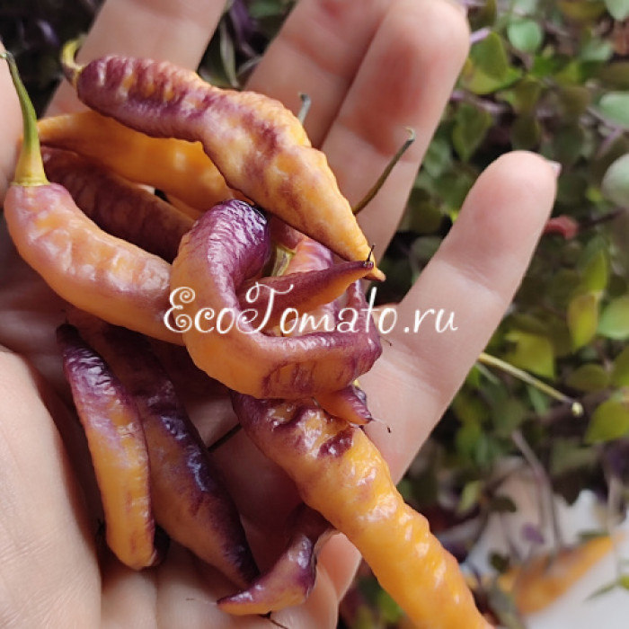 Fantomas Multicolor (Фантомас Мультиколор)