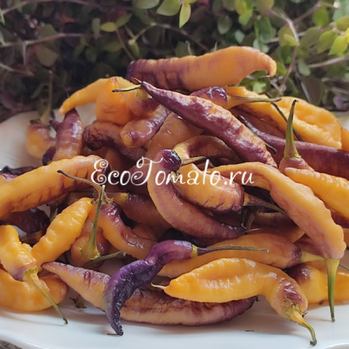 Fantomas Multicolor (Фантомас Мультиколор)