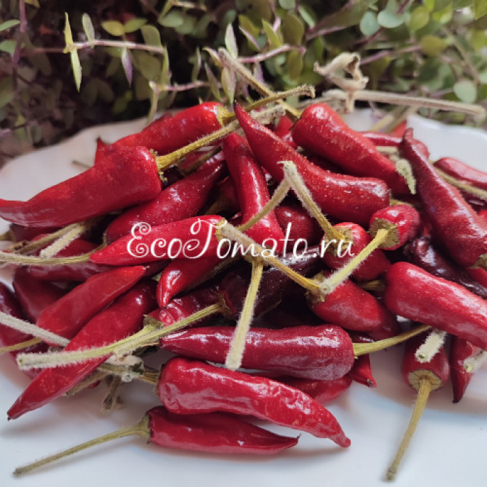 Indonesian x Goat's Weed (Крест Индонезийского и Гоатс Вид)