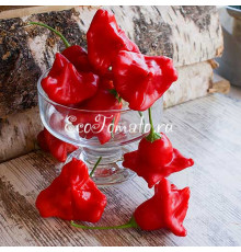 Колокольчик (Bishops Crown)