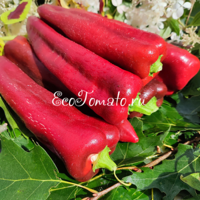 Dulce Italiano (Итальянский Сладкий)