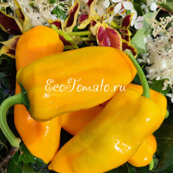 Escamillo (Эскамилло)