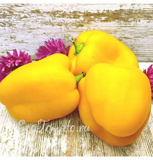 Костариканский желтый