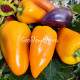 Rainbow Sun (Радужное солнце)