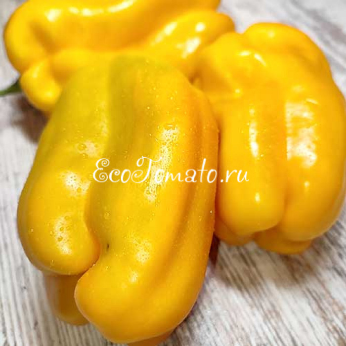 Yellow Monster (Желтый Монстр)