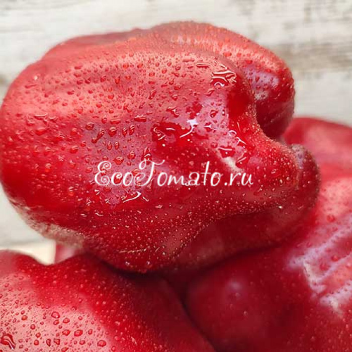 Багира Красная