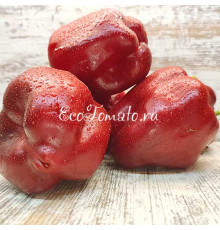 Багира Красная