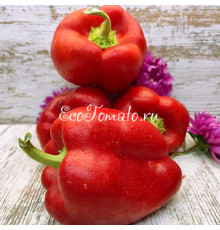 Геркулес красный