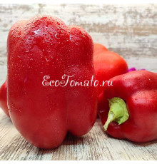 Костариканский красный