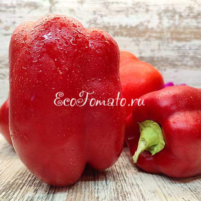 Костариканский красный