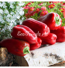 Красная Лихорадка