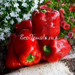 Красный из Вале