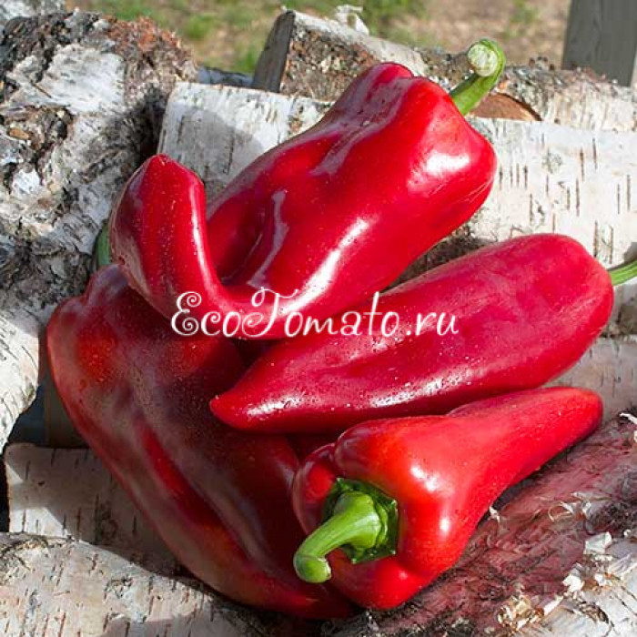 Маринкин язычок