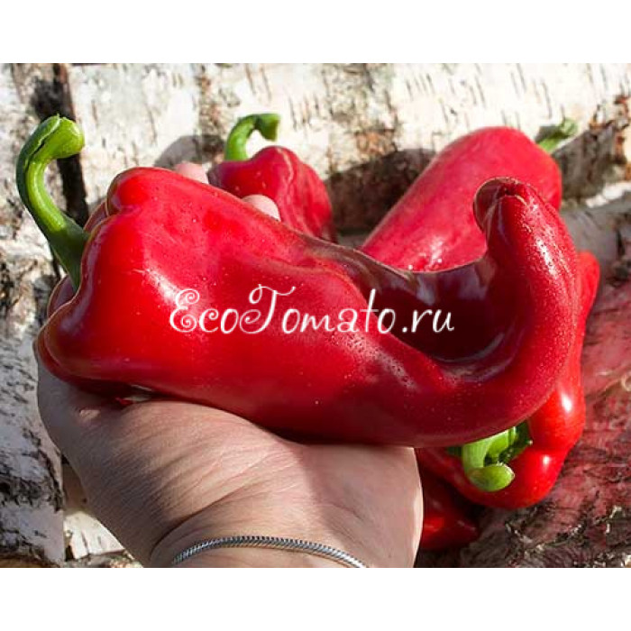 Маринкин язычок
