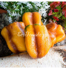 Млечный Путь