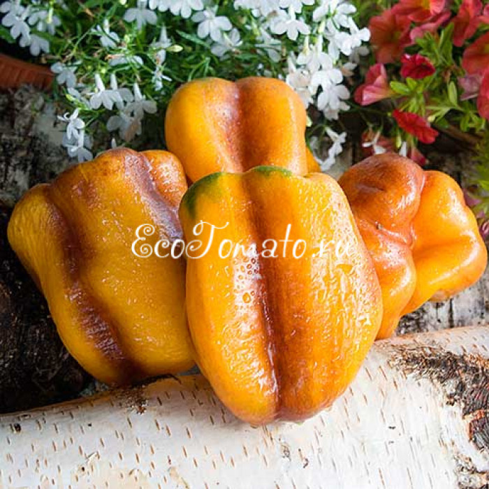 Млечный Путь