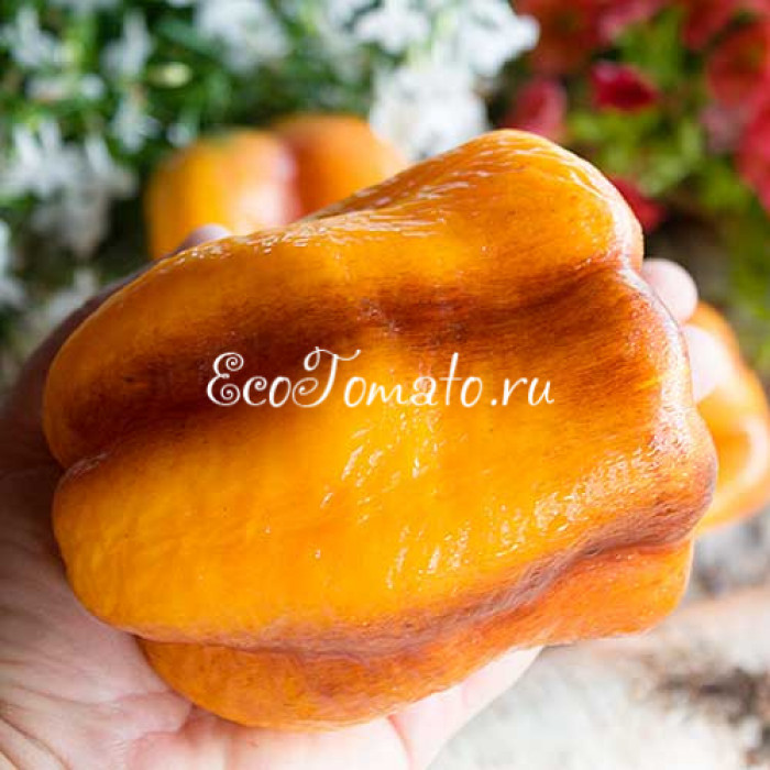 Млечный Путь