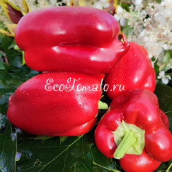 Розовый Фламинго