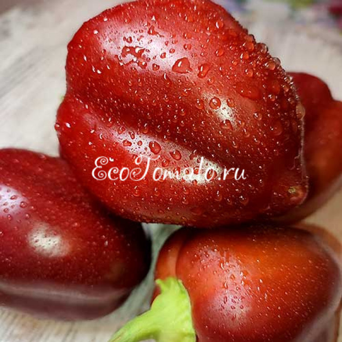 Шоколадный Батти