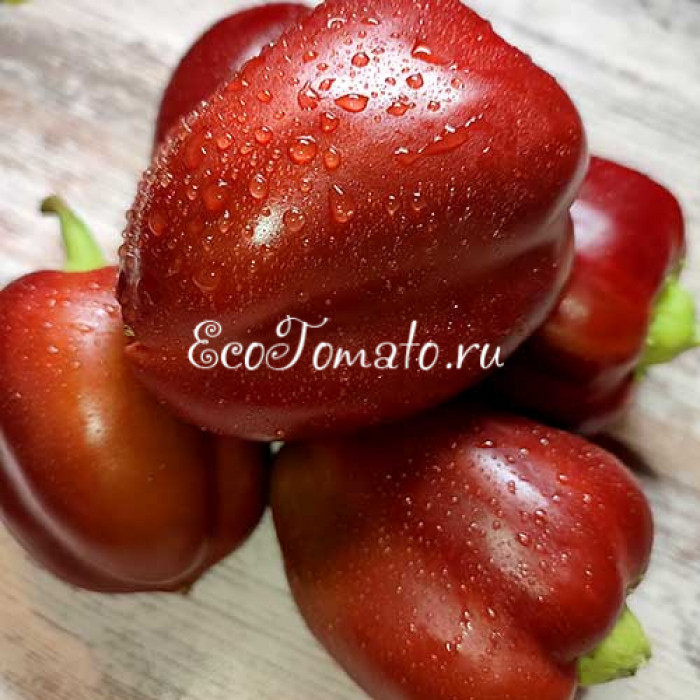 Шоколадный Батти