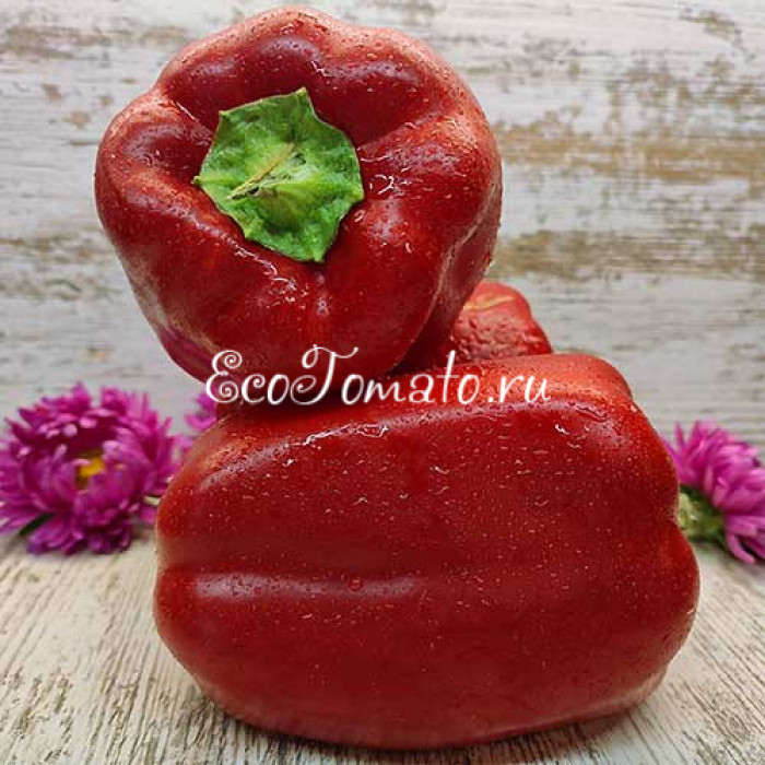 Шоколадный Кубок