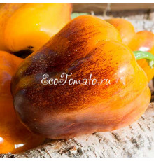 Солнышко Радужное