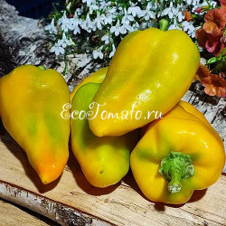 Желтый рог Быка