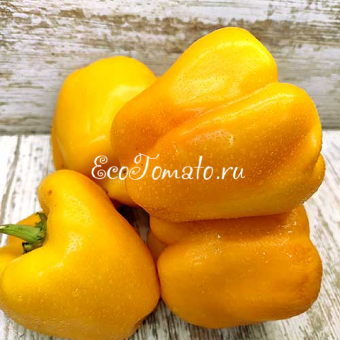 Золото Сибири