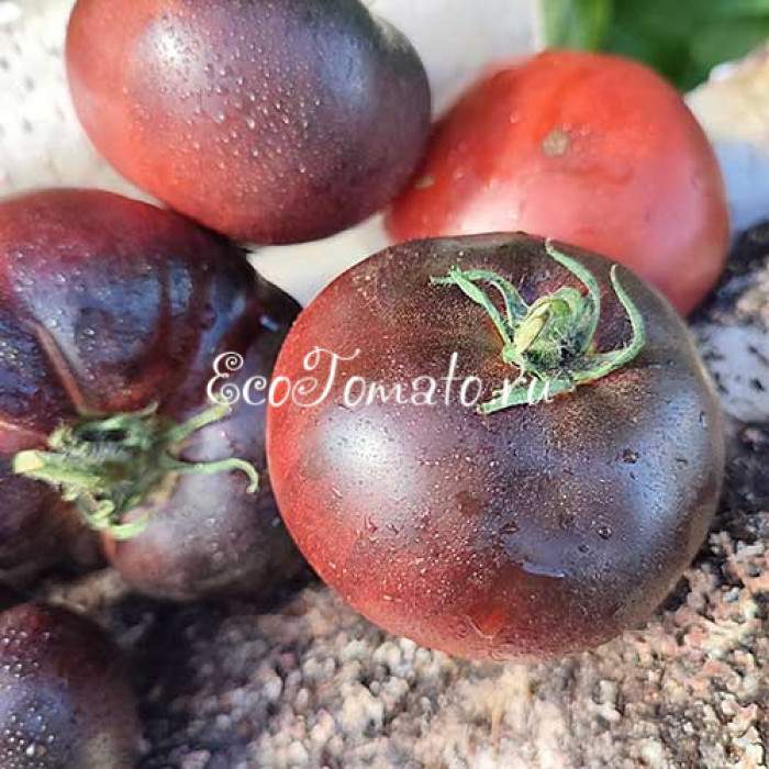 La Cadero (Ла Кадеро), Франция