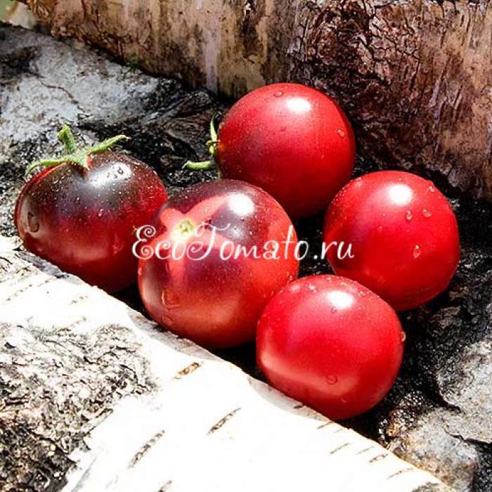 Painted Pink (Окрашенный розовый), США