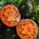 Pruneaux Sauvages (Дикий Чернослив), Франция