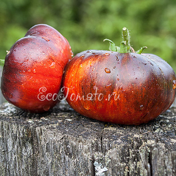 Red Beauty (Красная красота), США