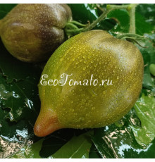 Алискино сердце