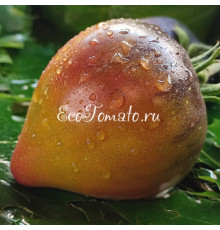 Пленительное сердце