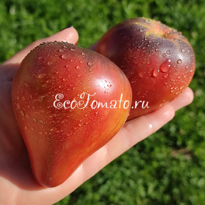 Пленительное сердце