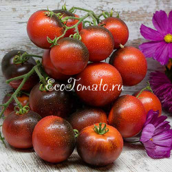 Синий воробей