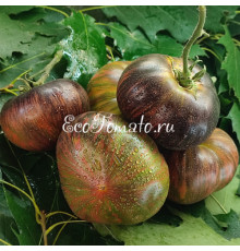 Триумф Софии 